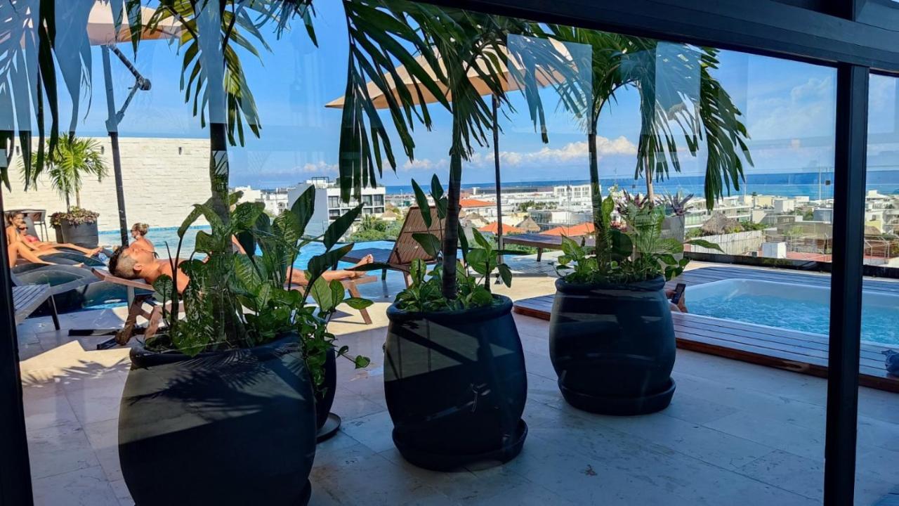 Luxury Suites , Calle 14Th 普拉亚卡门 外观 照片